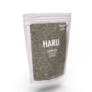 Alternative view of Haru